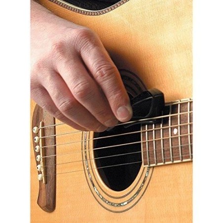 D'Addario PWPW1