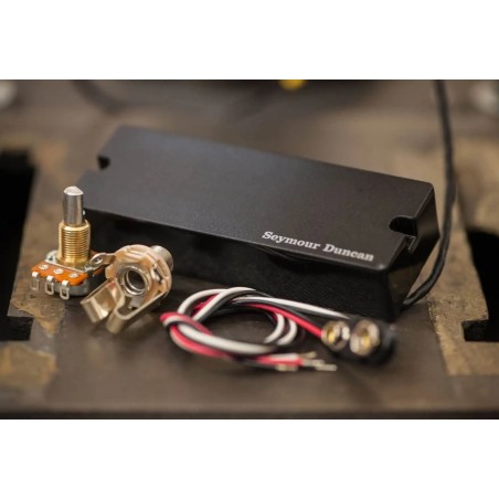 Seymour Duncan ASB-25b 5 String Phase II