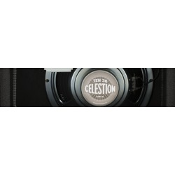 Fender '68 Custom Vibro Champ Reverb