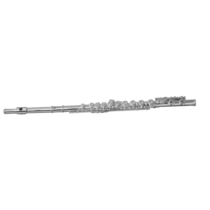 Soundsation SFL-10E