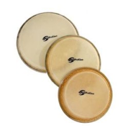 Soundsation SBNW10-RH65