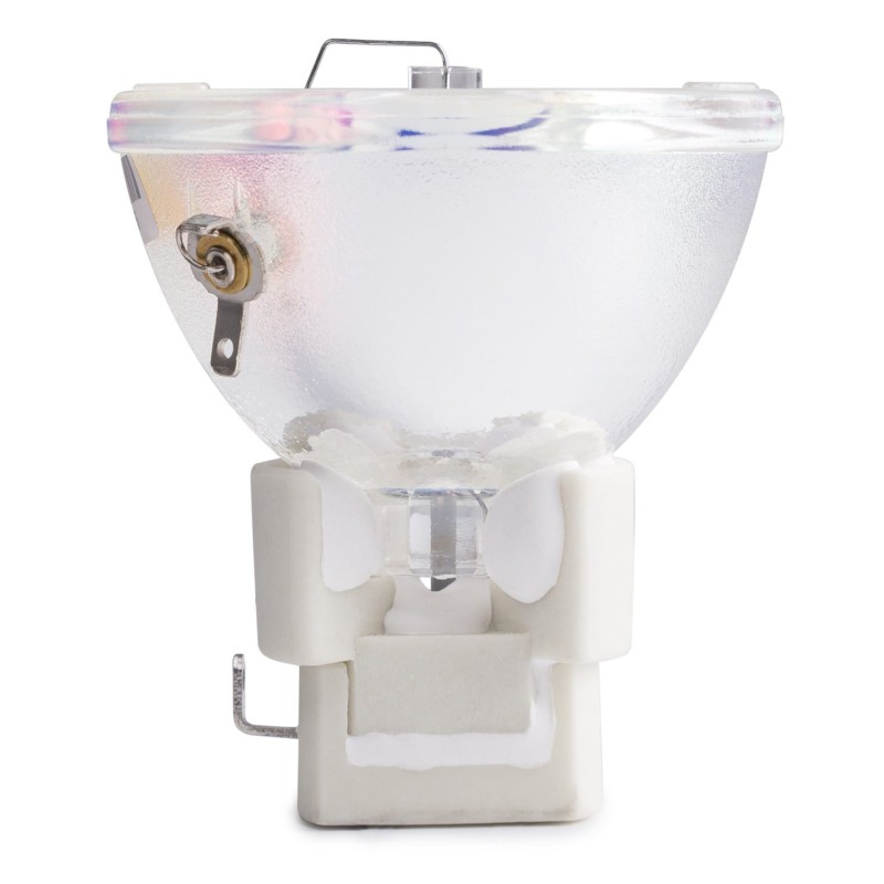 Beamz Bulb 7R