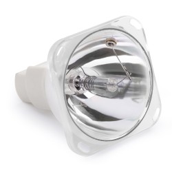 Beamz Bulb 7R