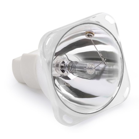Beamz Bulb 7R