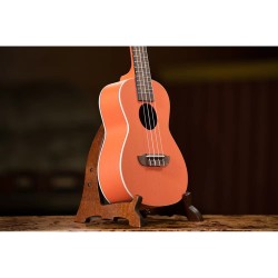 Ortega RUPUKI-CE