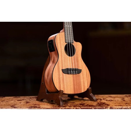 Ortega RUHZ-CE-MM