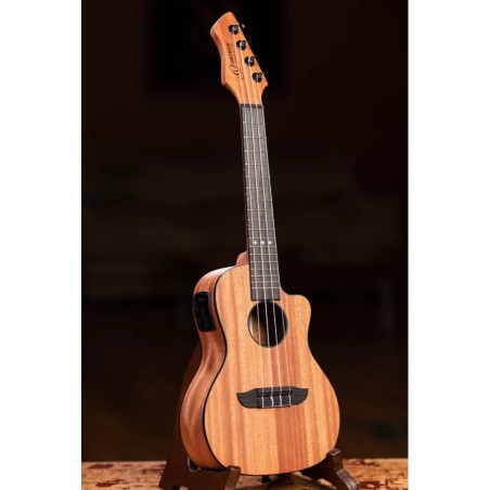 Ortega RUHZ-CE-MM