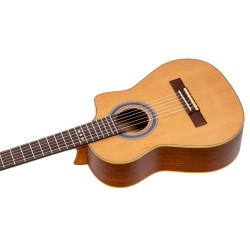 Ortega RQ39E