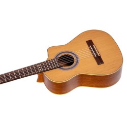 Ortega RQ39