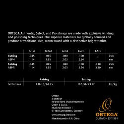 Ortega ABP-5