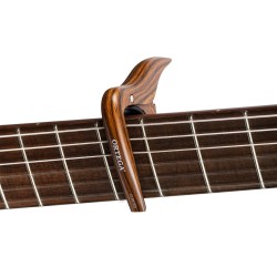 Ortega OCAPOCV-WND