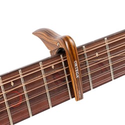 Ortega OCAPOCV-WND