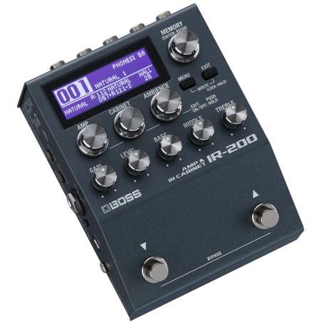 BOSS IR-200 Amp & IR Cabinet