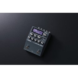 BOSS IR-200 Amp & IR Cabinet
