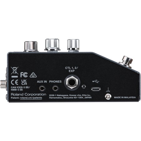 BOSS IR-200 Amp & IR Cabinet