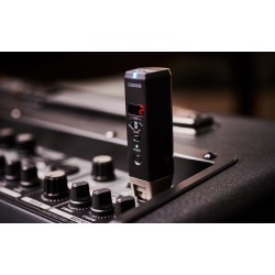 BOSS WL-30XLR Wireless System