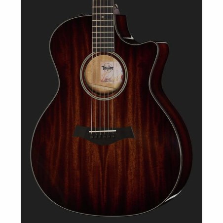 Taylor 524ce V-Class Bracing