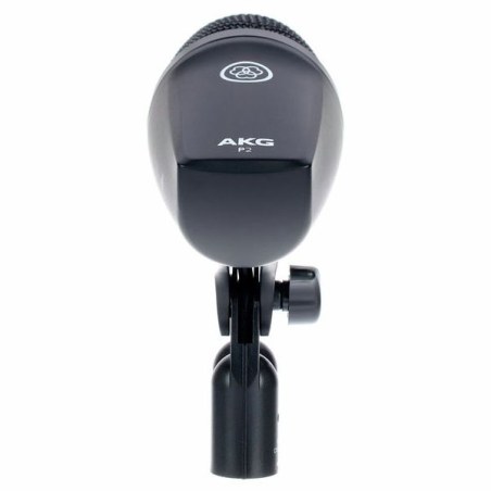 AKG P2