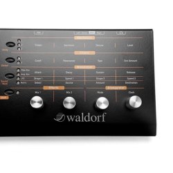 Waldorf Blofeld Black