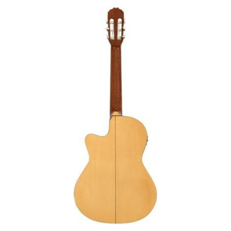 Josè Torres JTF-30CE