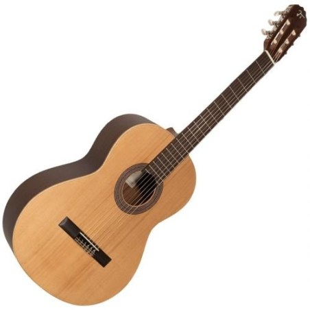 Josè Torres JTC-5S LH