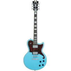 D'Angelico Deluxe Brandon Niederauer Atlantic