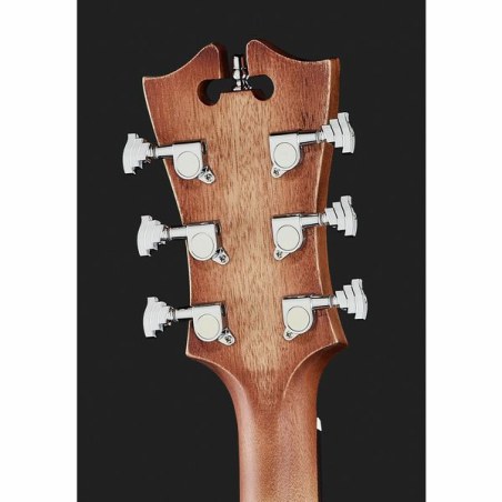D'Angelico Premier Lexington Ls Aged Mahogany