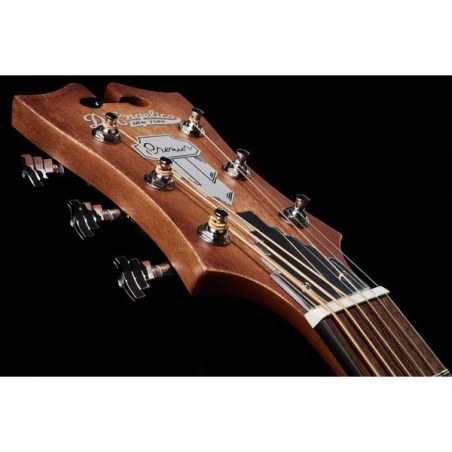 D'Angelico Premier Lexington Ls Aged Mahogany