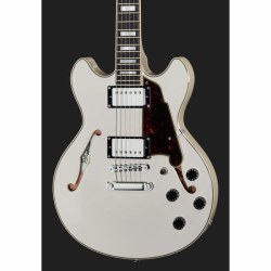D'Angelico Premier Mini DC Champagne Stopbar