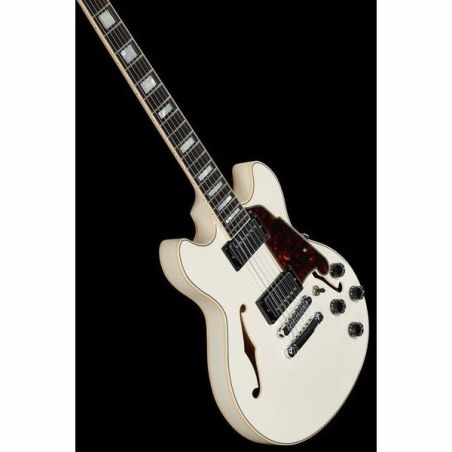 D'Angelico Premier Mini DC Champagne Stopbar