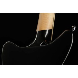 D'Angelico Premier Bedford Black Flake
