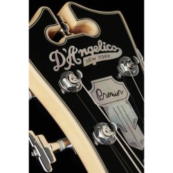 D'Angelico Premier Bedford Black Flake