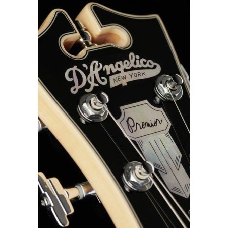 D'Angelico Premier Bedford Black Flake
