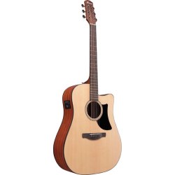 Ibanez AAD50CE Natural Low Gloss