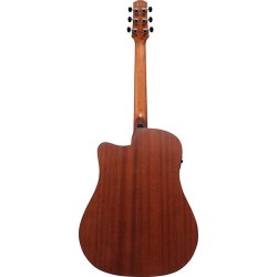 Ibanez AAD50CE Natural Low Gloss