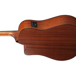 Ibanez AAD50CE Natural Low Gloss