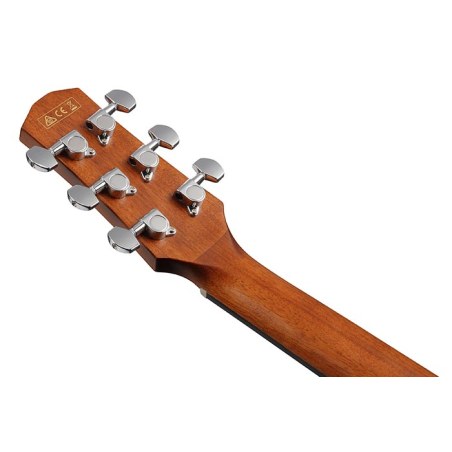 Ibanez AAD50CE Natural Low Gloss