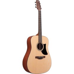 Ibanez AAD50 Natural Low Gloss