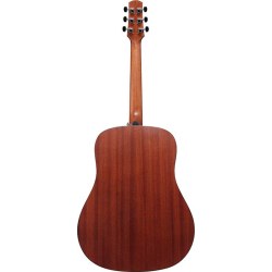 Ibanez AAD50 Natural Low Gloss