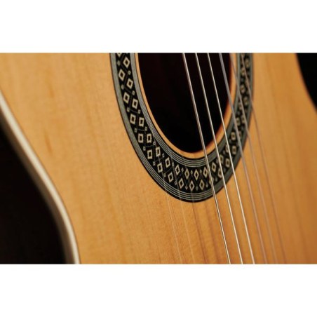 Alhambra 1C-HT Hybrid Terra