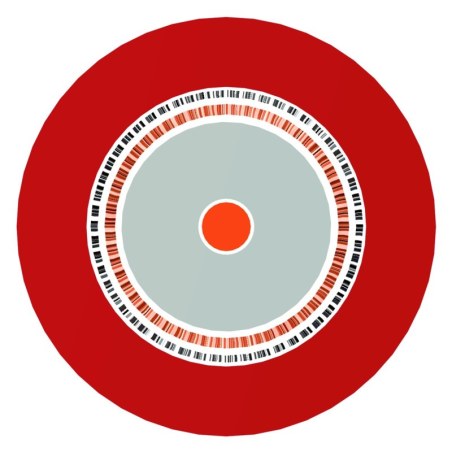 Proel HPC805 Red
