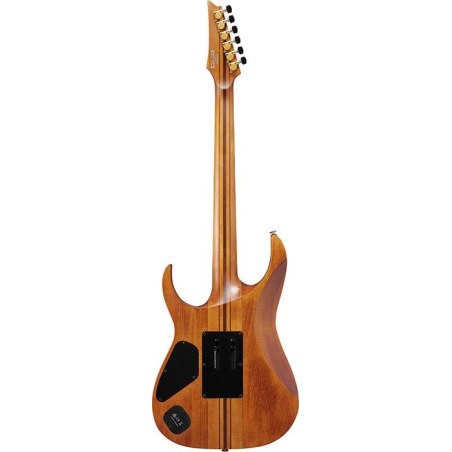Ibanez RGT1220PB Antique Brown Stained