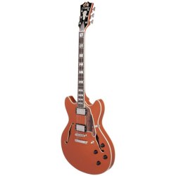 D'Angelico Deluxe DC LE 2022