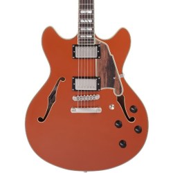 D'Angelico Deluxe DC LE 2022