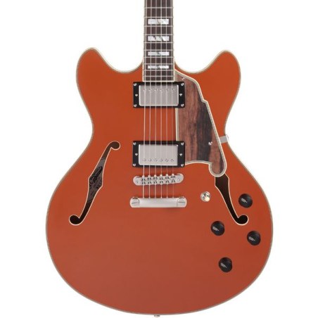 D'Angelico Deluxe DC LE 2022