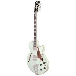 D'Angelico Deluxe SS LE Sage