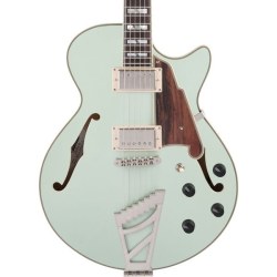 D'Angelico Deluxe SS LE Sage