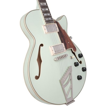 D'Angelico Deluxe SS LE Sage