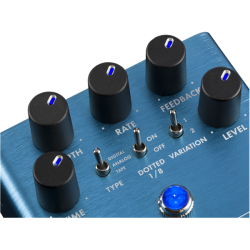 Fender Mirror Image Delay
