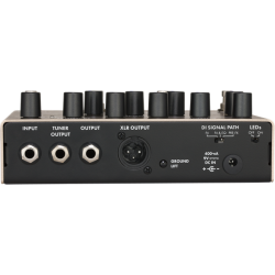 Fender Downtown Express